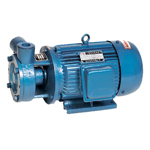 安康W旋渦泵(beng)