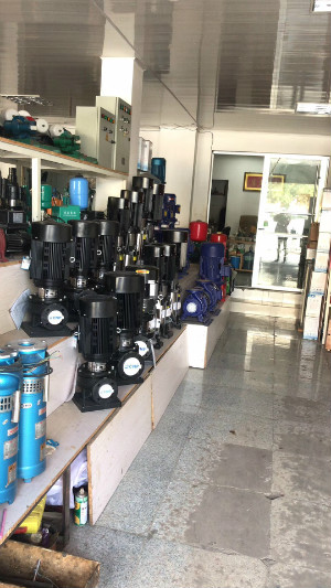 西(xī)安水泵(beng)