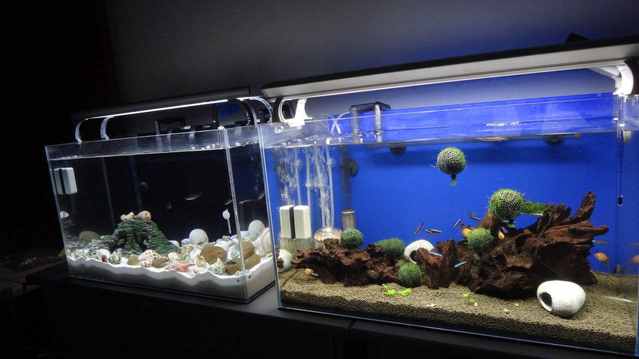 魚缸(gāng)水泵如何(hé)保養