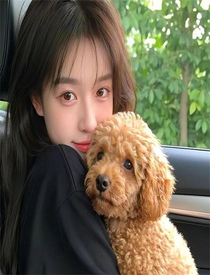 影视评论：《向爱致敬》的艺术价值与娱乐性平衡